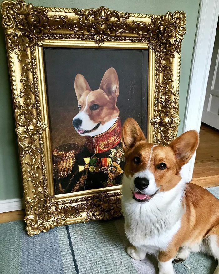 Royal Pet Portraits Signature Arts