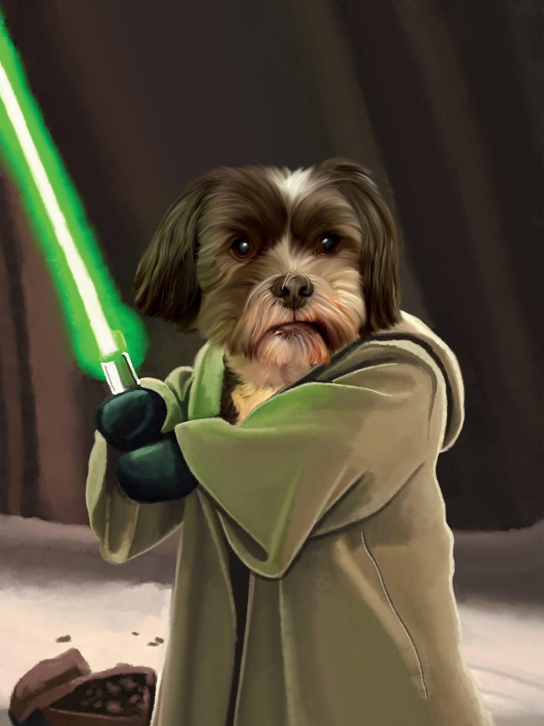 Jedi - Royal Pet Portrait