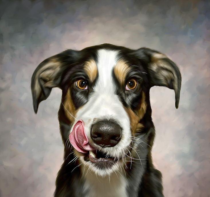 Digital Pet Portrait Painting Signature Arts